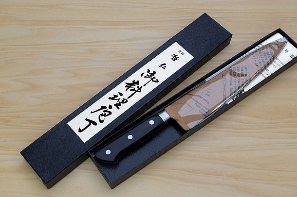 Tetsuhiro Blue steel 2 Gyuto knife 210mm (8.3") Black paper micarta